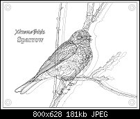 Click image for larger version. 

Name:	SparrowWireframe.jpg 
Views:	175 
Size:	180.8 KB 
ID:	66387