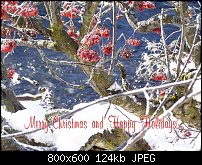 Click image for larger version. 

Name:	HappyHolidays.jpg 
Views:	248 
Size:	123.6 KB 
ID:	68475