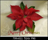 Click image for larger version. 

Name:	poinsetta2009.jpg 
Views:	460 
Size:	51.5 KB 
ID:	68480