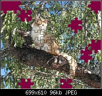 Click image for larger version. 

Name:	puzzle.jpg 
Views:	152 
Size:	95.9 KB 
ID:	69361