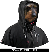 Click image for larger version. 

Name:	hoodie.png 
Views:	98 
Size:	151.7 KB 
ID:	71176