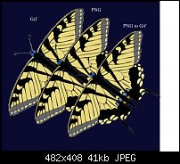 Click image for larger version. 

Name:	Butterfly.jpg 
Views:	256 
Size:	41.1 KB 
ID:	729