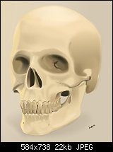 Click image for larger version. 

Name:	skull.jpg 
Views:	284 
Size:	22.0 KB 
ID:	73617