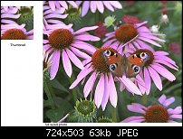 Click image for larger version. 

Name:	thumb_example.jpg 
Views:	183 
Size:	63.1 KB 
ID:	75346