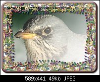 Click image for larger version. 

Name:	Frame2.jpg 
Views:	746 
Size:	49.1 KB 
ID:	7663