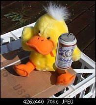 Click image for larger version. 

Name:	Duck_Beer.jpg 
Views:	331 
Size:	69.6 KB 
ID:	8037