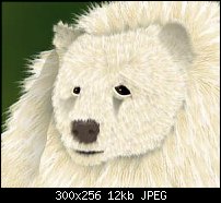 Click image for larger version. 

Name:	Spirit-Bear.jpg 
Views:	142 
Size:	11.9 KB 
ID:	83742
