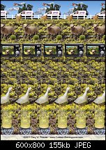 Click image for larger version. 

Name:	Yellow Hills.jpg 
Views:	360 
Size:	154.7 KB 
ID:	85653