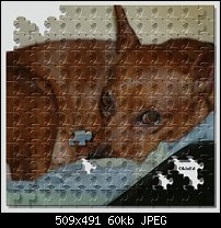 Click image for larger version. 

Name:	Redman_puzzle.jpg 
Views:	209 
Size:	59.6 KB 
ID:	8664