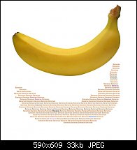 Click image for larger version. 

Name:	banana.jpg 
Views:	278 
Size:	32.8 KB 
ID:	88001
