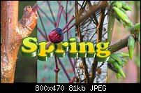 Click image for larger version. 

Name:	spring 2.jpg 
Views:	221 
Size:	80.6 KB 
ID:	88149