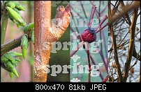 Click image for larger version. 

Name:	spring 1.jpg 
Views:	220 
Size:	81.3 KB 
ID:	88150