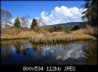 Click image for larger version. 

Name:	marsh_scenic.jpg 
Views:	309 
Size:	111.6 KB 
ID:	88263