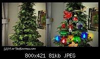 Click image for larger version. 

Name:	2009 tree.jpg 
Views:	243 
Size:	81.2 KB 
ID:	92933