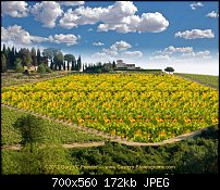 Click image for larger version. 

Name:	Tuscan Farmhouse.jpg 
Views:	803 
Size:	172.3 KB 
ID:	94085