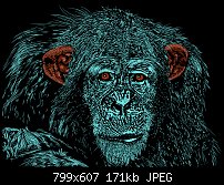 Click image for larger version. 

Name:	Chimpanzee.jpg 
Views:	184 
Size:	170.9 KB 
ID:	96407