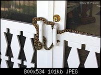 Click image for larger version. 

Name:	snake lock.jpg 
Views:	47 
Size:	100.9 KB 
ID:	98455